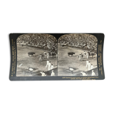 Old photography stereo, stereograph, luxury albumine 1903 bullfight, Seville, Spain