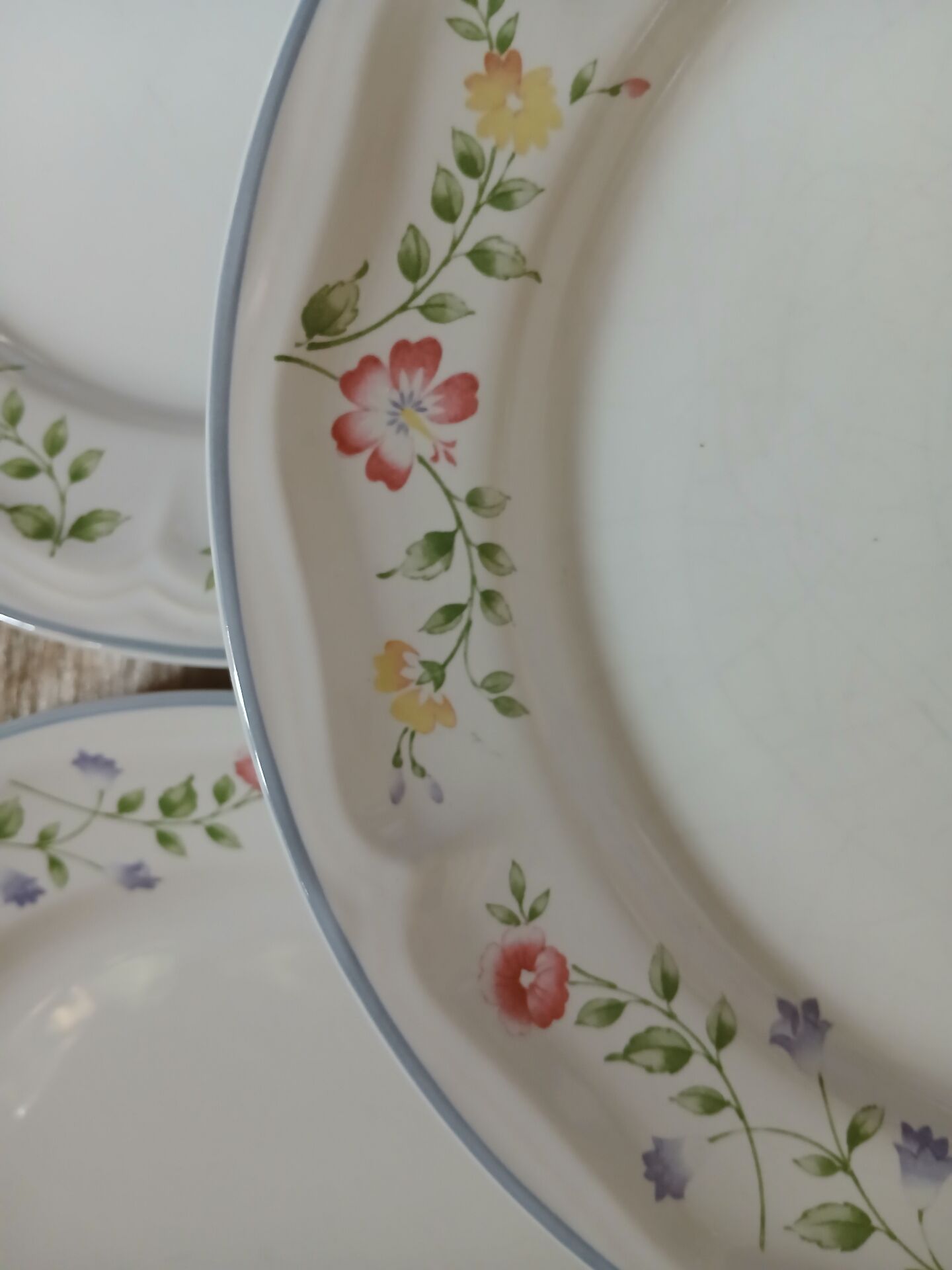 9 dinner plates English Garden