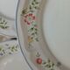 9 dinner plates English Garden