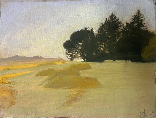 Tableaux lot 4 études Pastel Ed. Pannetier (1884-1965) Paysages