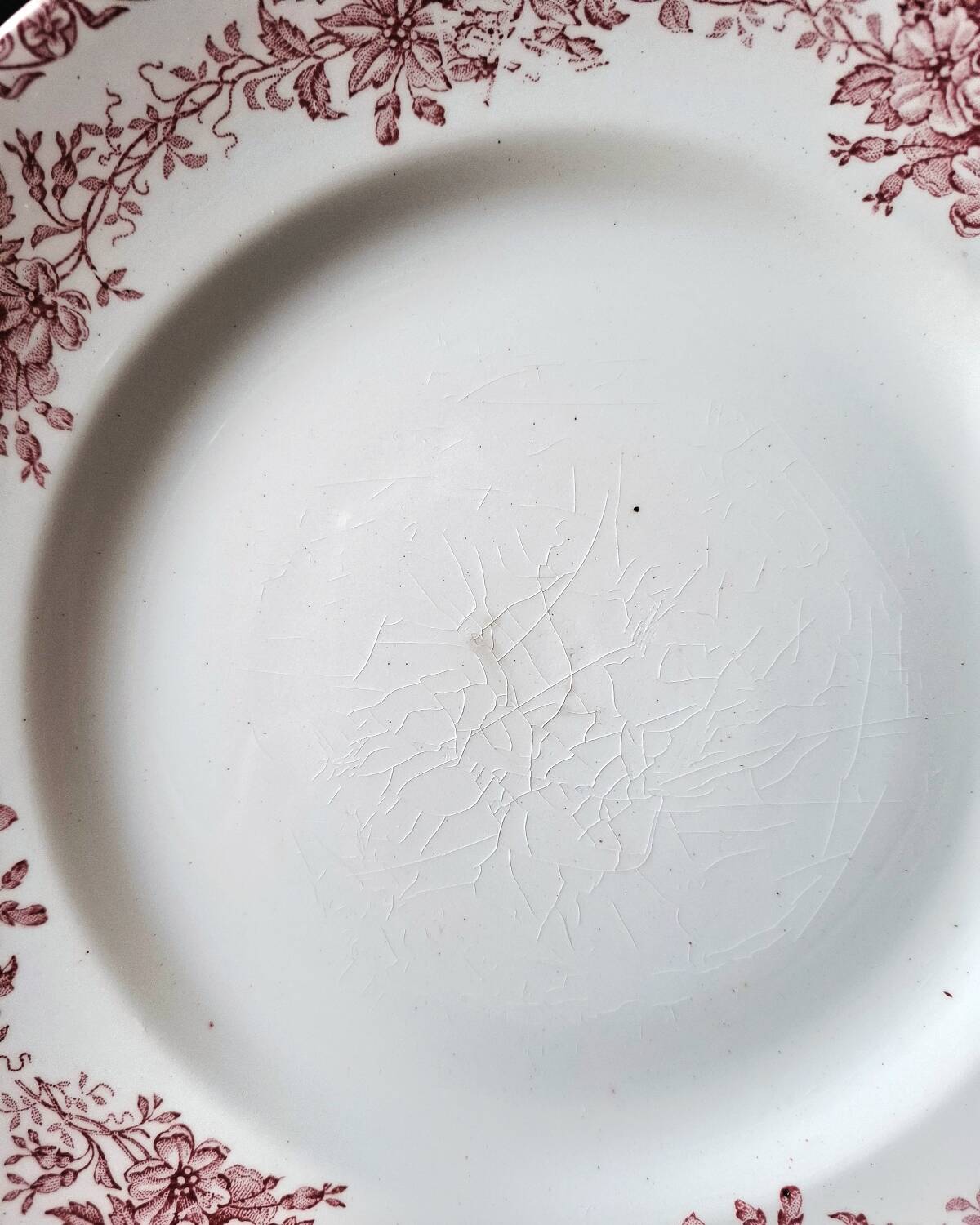 Ironstone earthenware plate