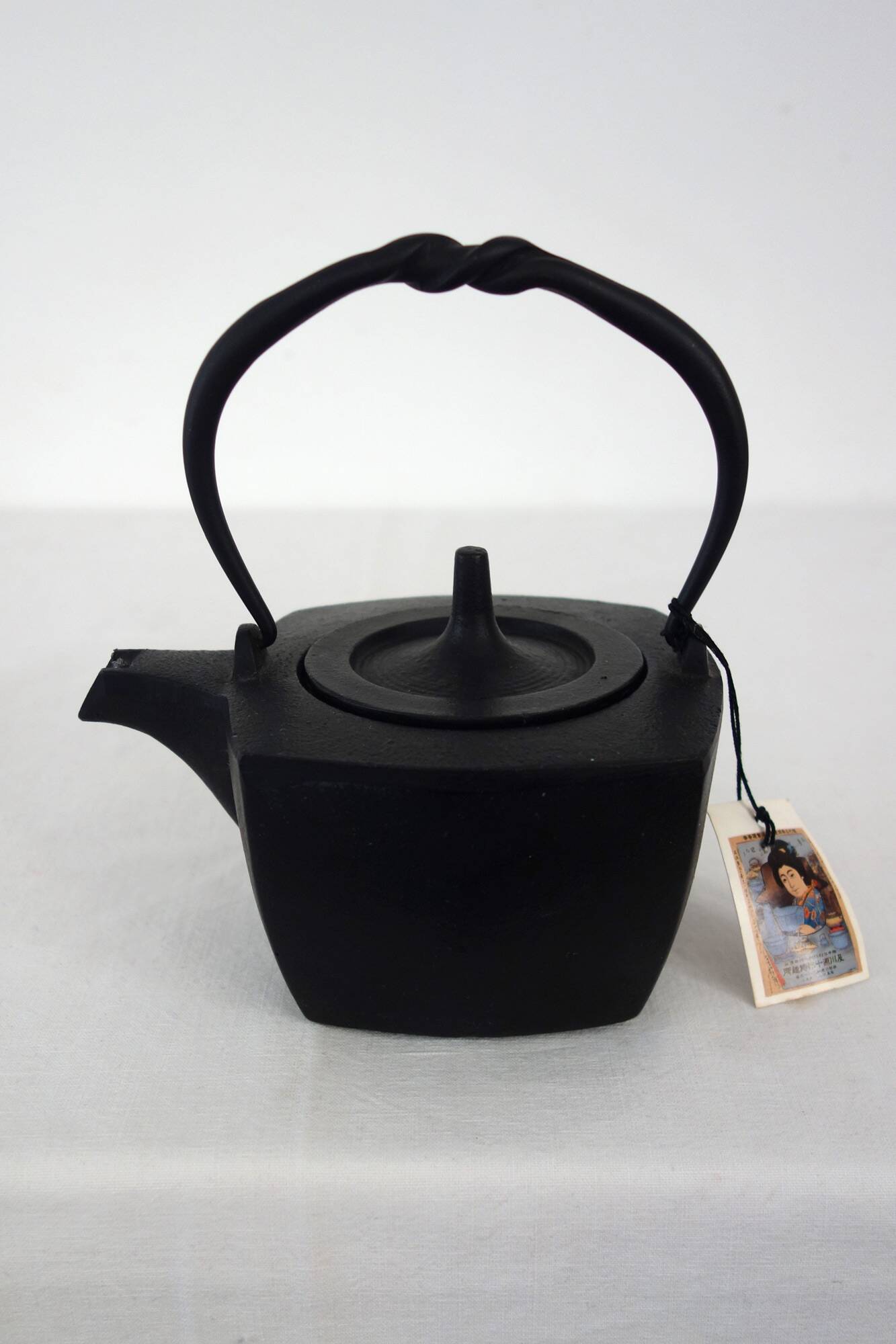 Oigen Japanese Cast Iron Teapot