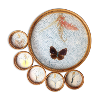 Butterfly trays