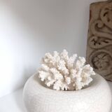Corail vintage