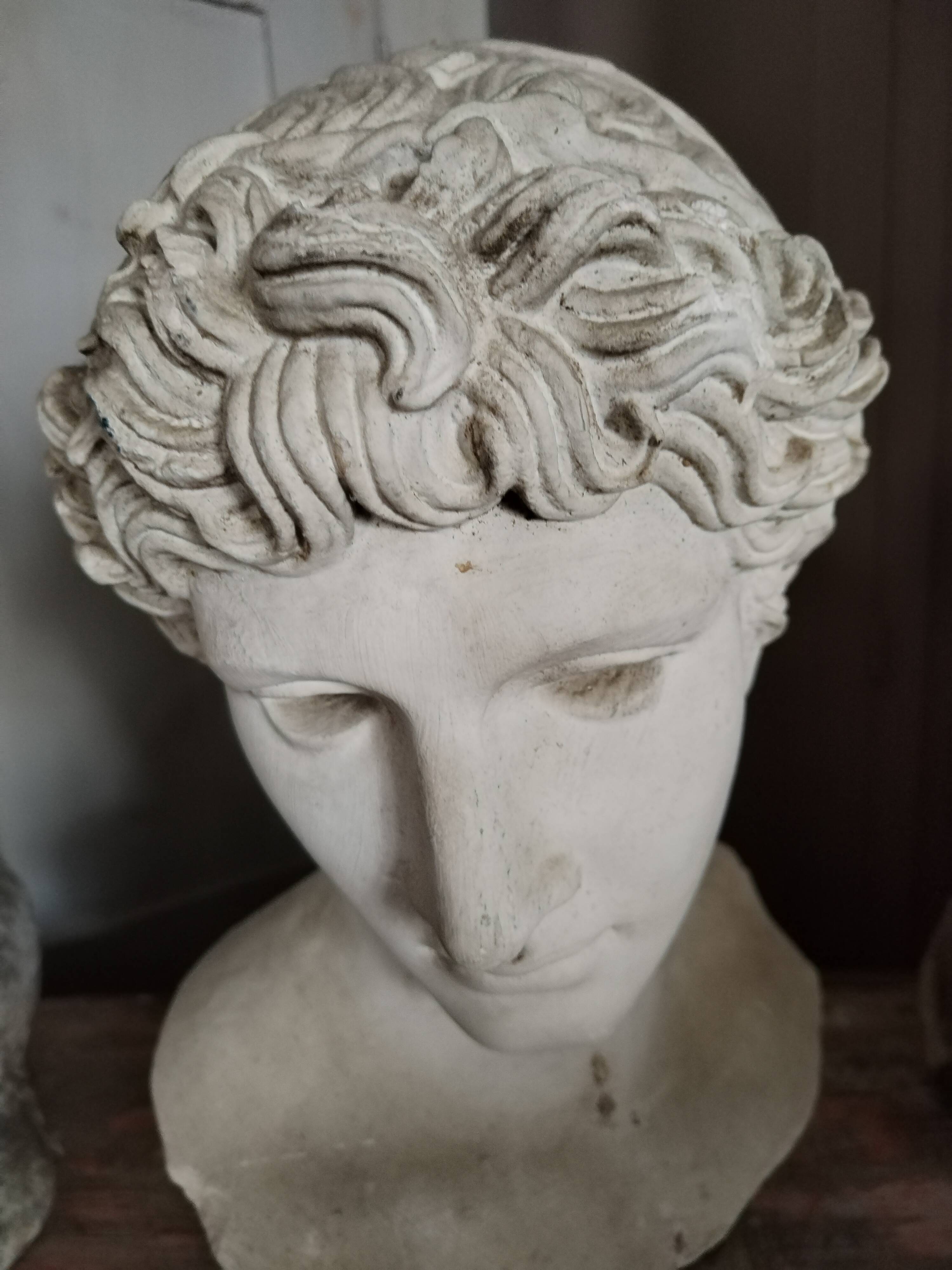 White plaster Apollo bust early 20th century