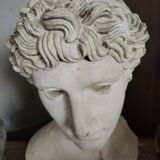 White plaster Apollo bust early 20th century