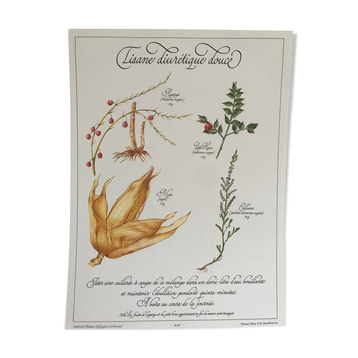 Vintage botanical plank