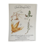 Vintage botanical plank