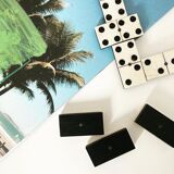 Dominos anciens bois corne