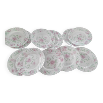 Flat plates arcopal floral pattern