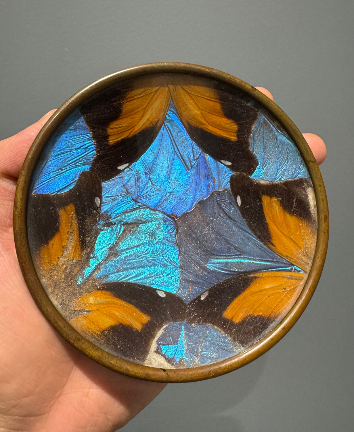 Art Deco butterfly wings catch-all Billère