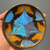 Art Deco butterfly wings catch-all Billère