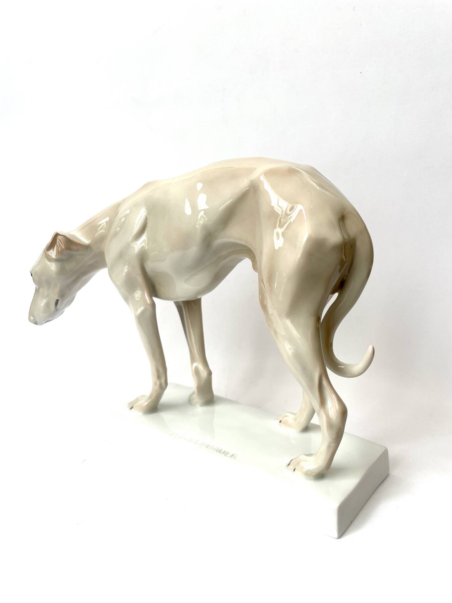 Lévrier par Dorothea Moldenhauer, Rosenthal, 1920
