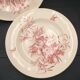 2 ancient hollow plates longchamp congo ostrich parrots