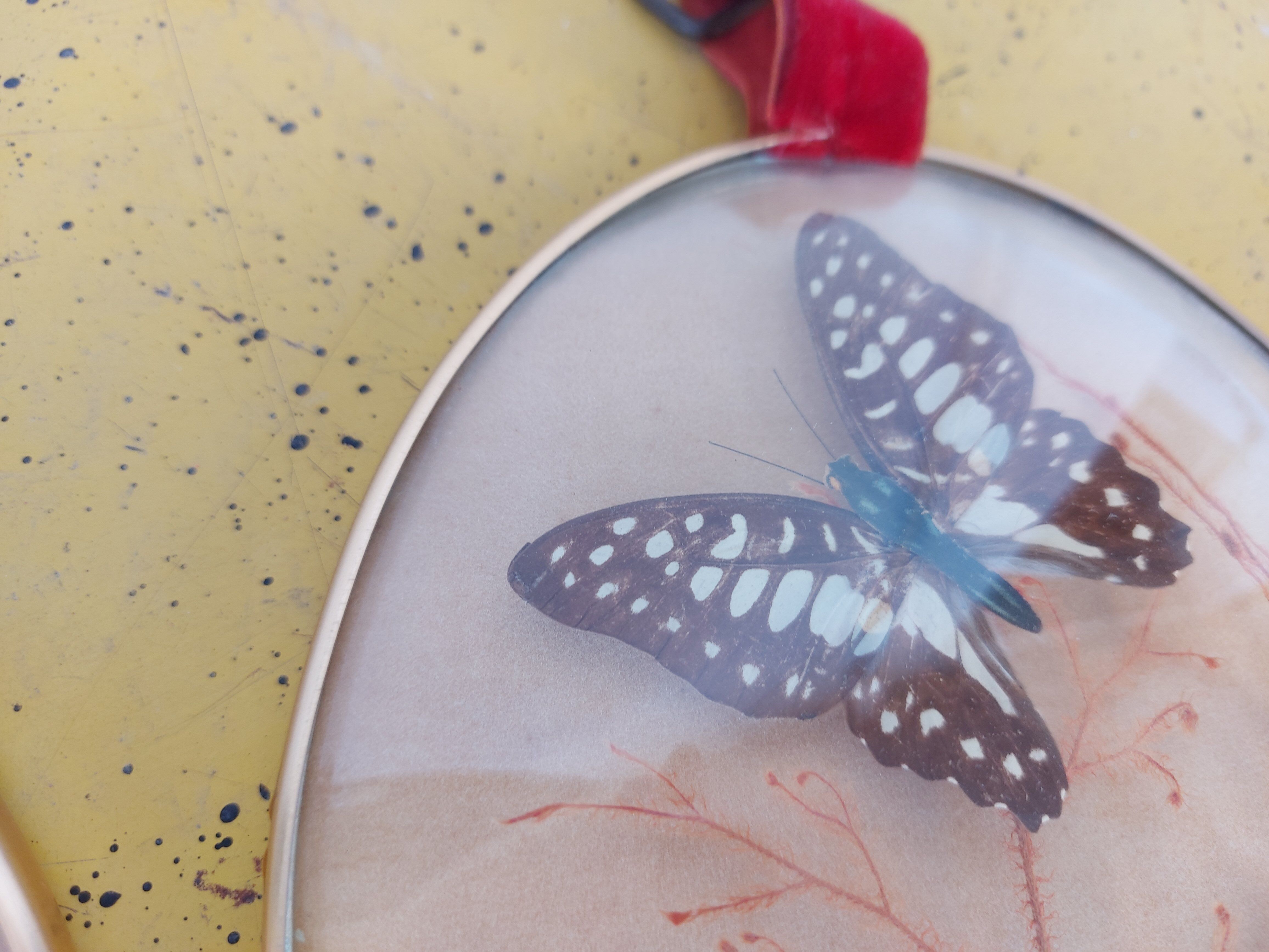 Pair of vintage butterfly frames