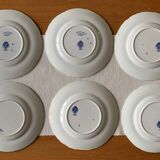 6 assiettes en faïence de B W M & Co