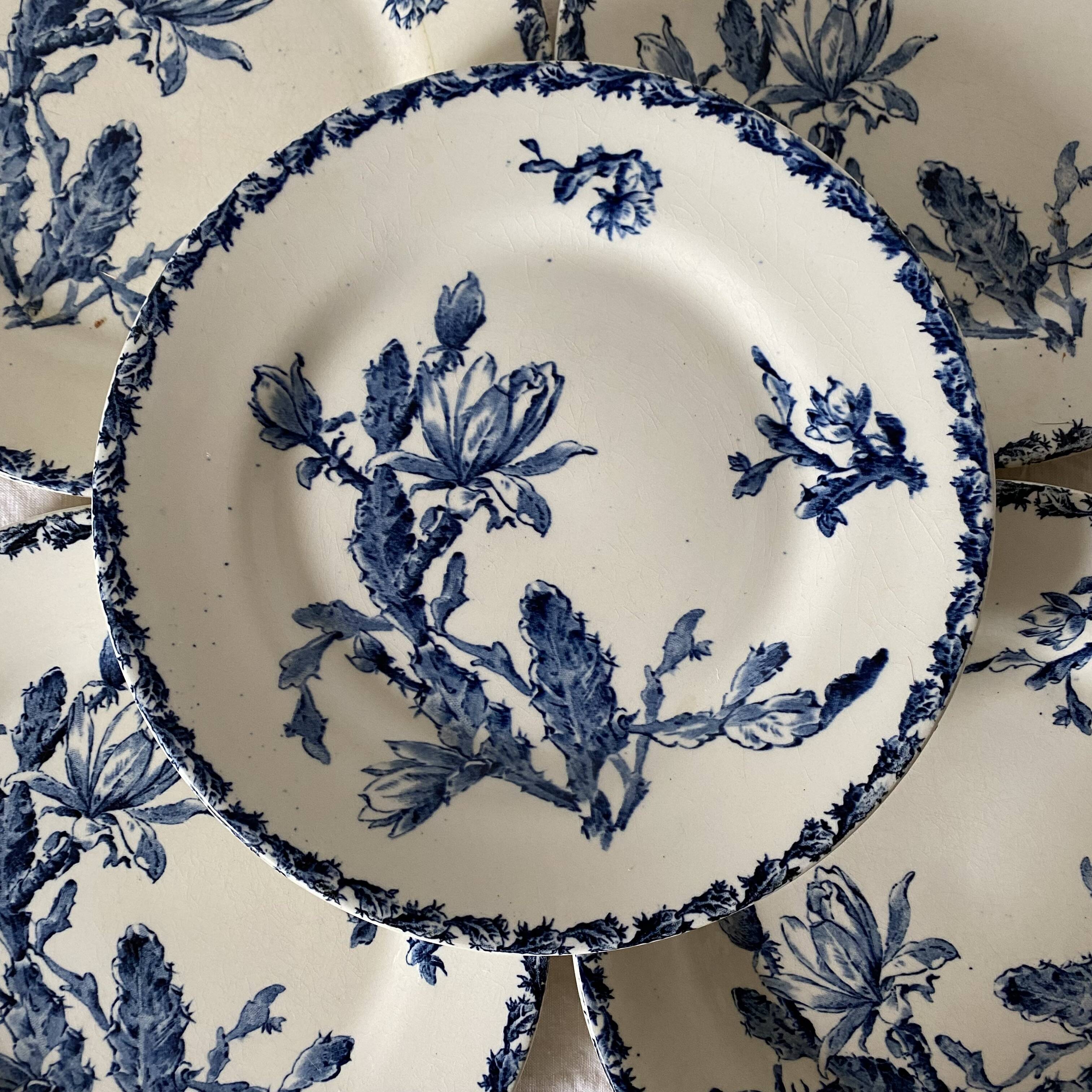 Gien porcelain plates - Cactus