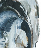 "Sacha" the oyster, art print 20/30cm