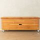 Unique vaulting box from the 1960s by Benz