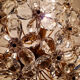 Italian ceiling light in Murano glass, 1970.