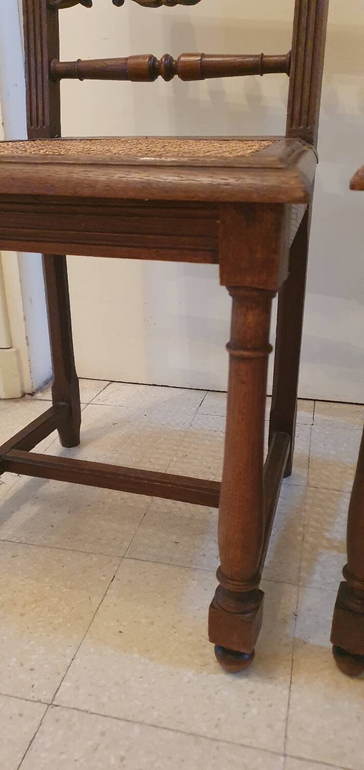 Lot de 2 chaises bois massif tête de lion