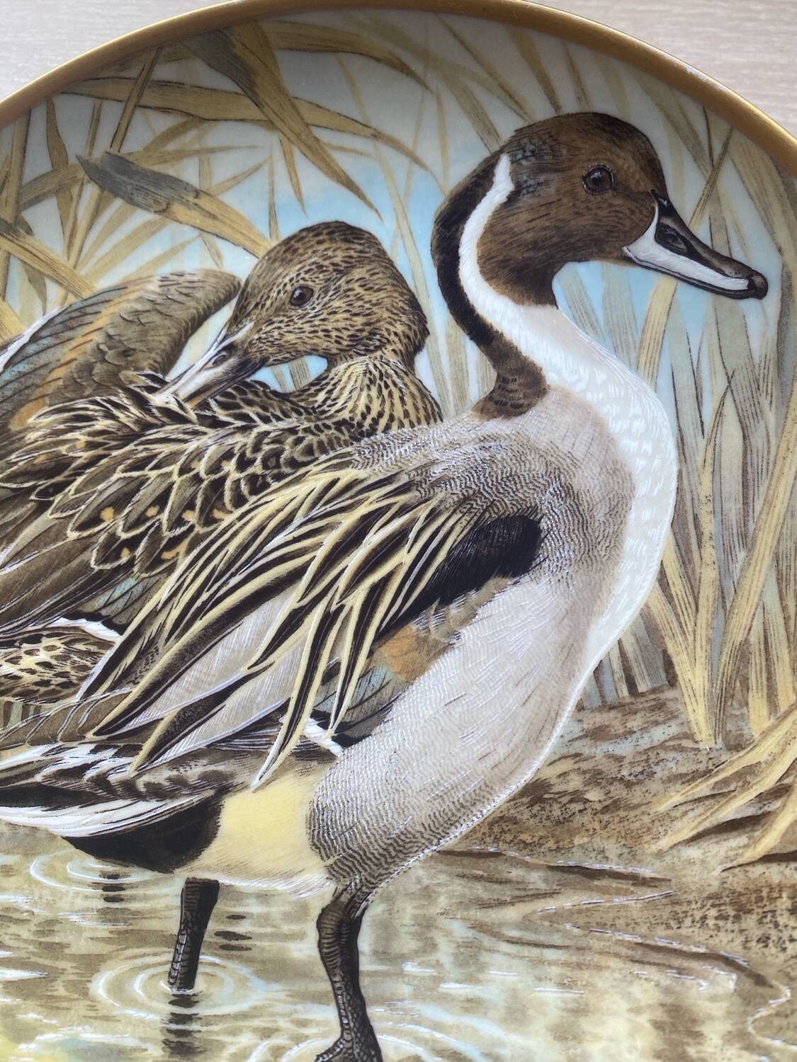 Decorative plate Limoges Water Birds