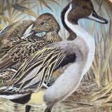 Decorative plate Limoges Water Birds