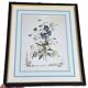 Redouté Flowers - Framed Bouquet of Thoughts