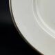 Oval plate Raynaud model Fontainebleau platinum