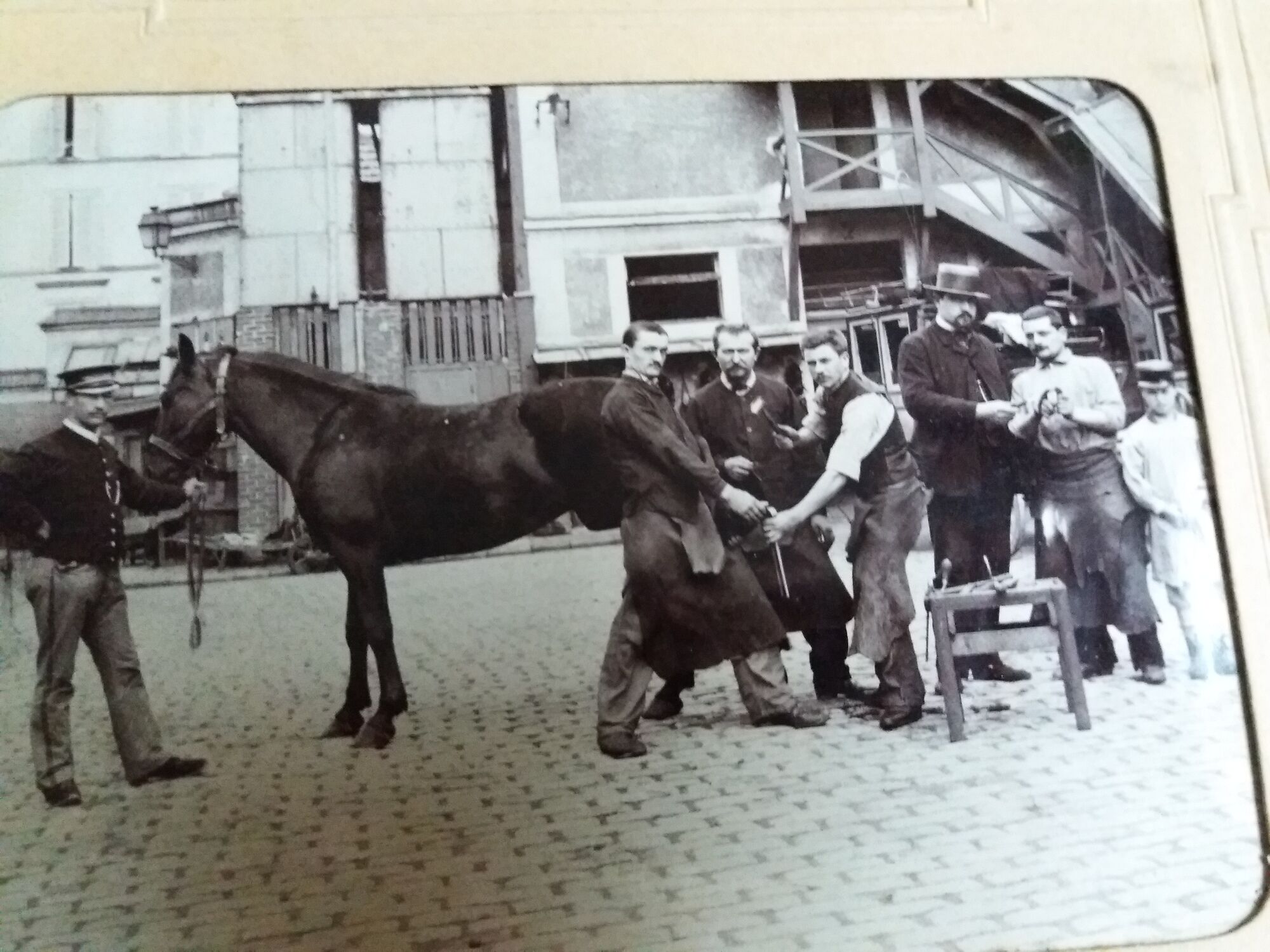 Old photograph 1900 farrier and horse by A. Rebut in Paris