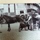Old photograph 1900 farrier and horse by A. Rebut in Paris
