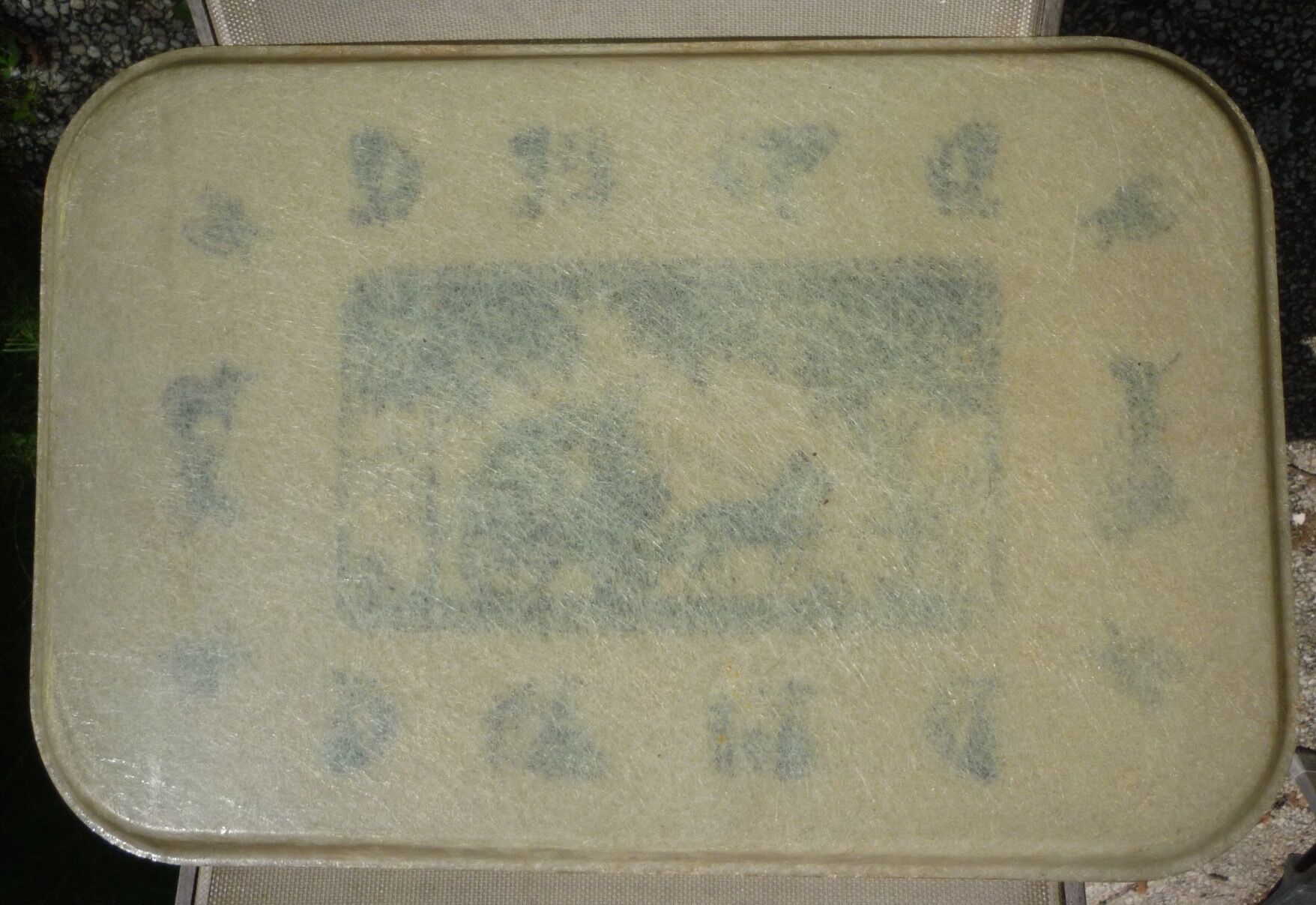 Tray in fiberglass old carriage 60X40