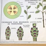 Rossignol pedagogical poster