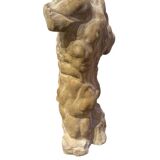 Roman torso in stone anatomical model ecorche