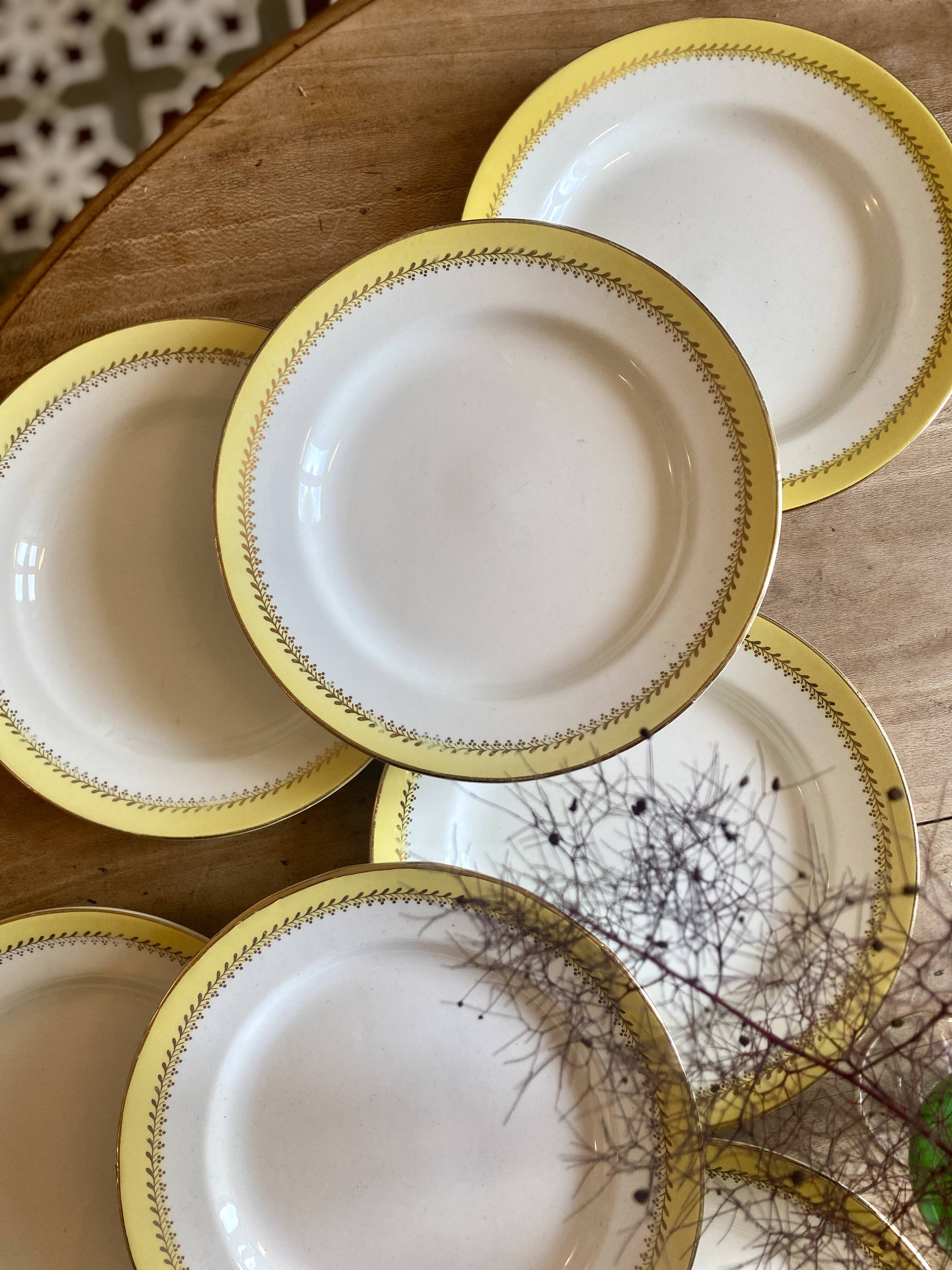 Set of 10 vintage Biarritz yellow, white and gold flat plates