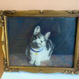 Animal painting cat minouche in gouache signed morris 1934 wooden frame