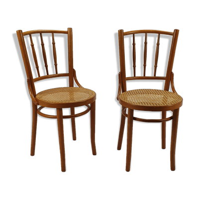 Ensemble de 2 chaises roumaines en bois de bent de canne et de bouleau, années 1960