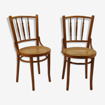 Set of 2 Romanian Cane and Birch Bentwood Chairs, 1960s