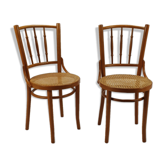 Set of 2 Romanian Cane and Birch Bentwood Chairs, 1960s