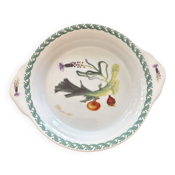 Plat le terrine botaniche