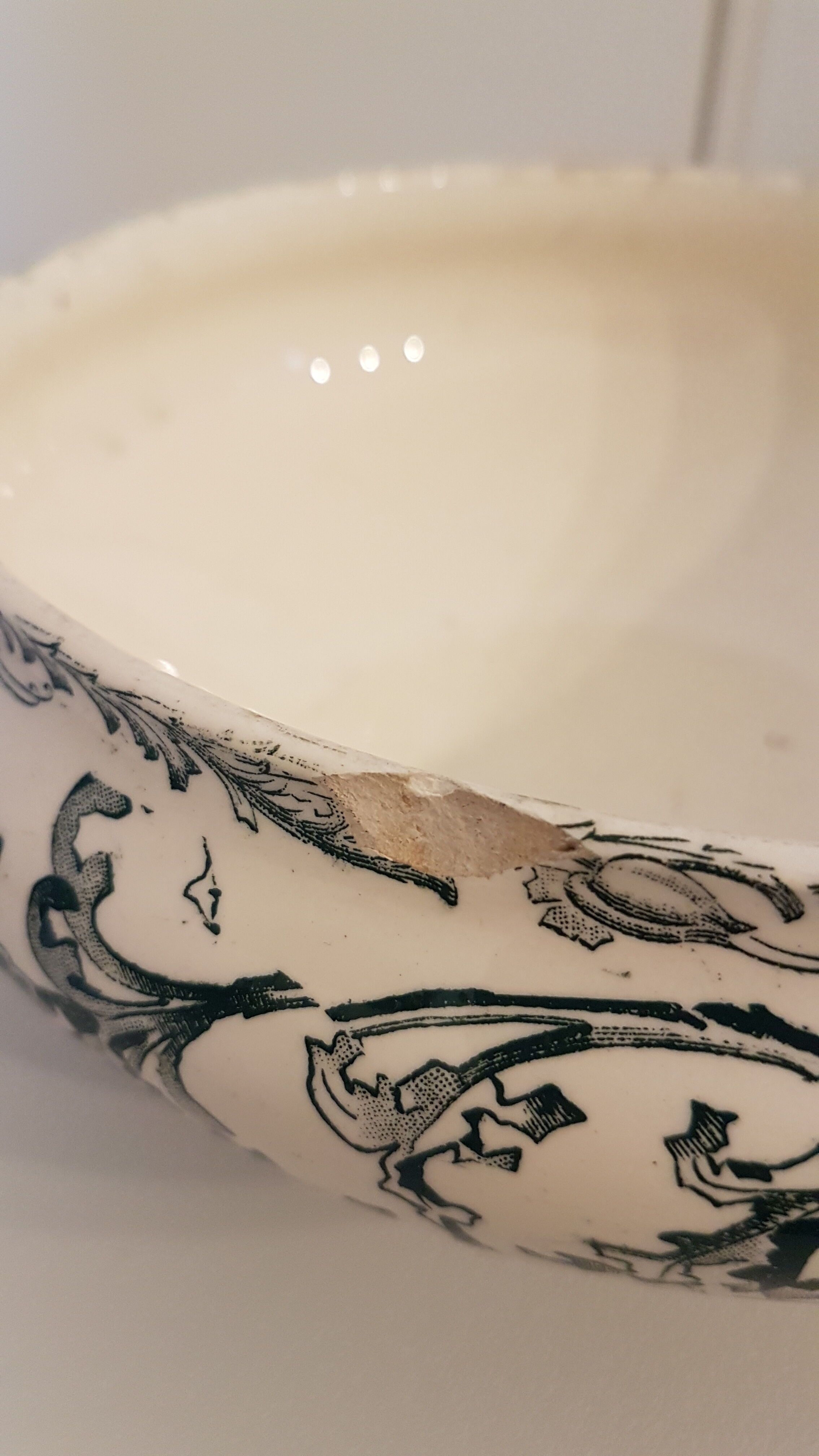 Longwy Datura tureen