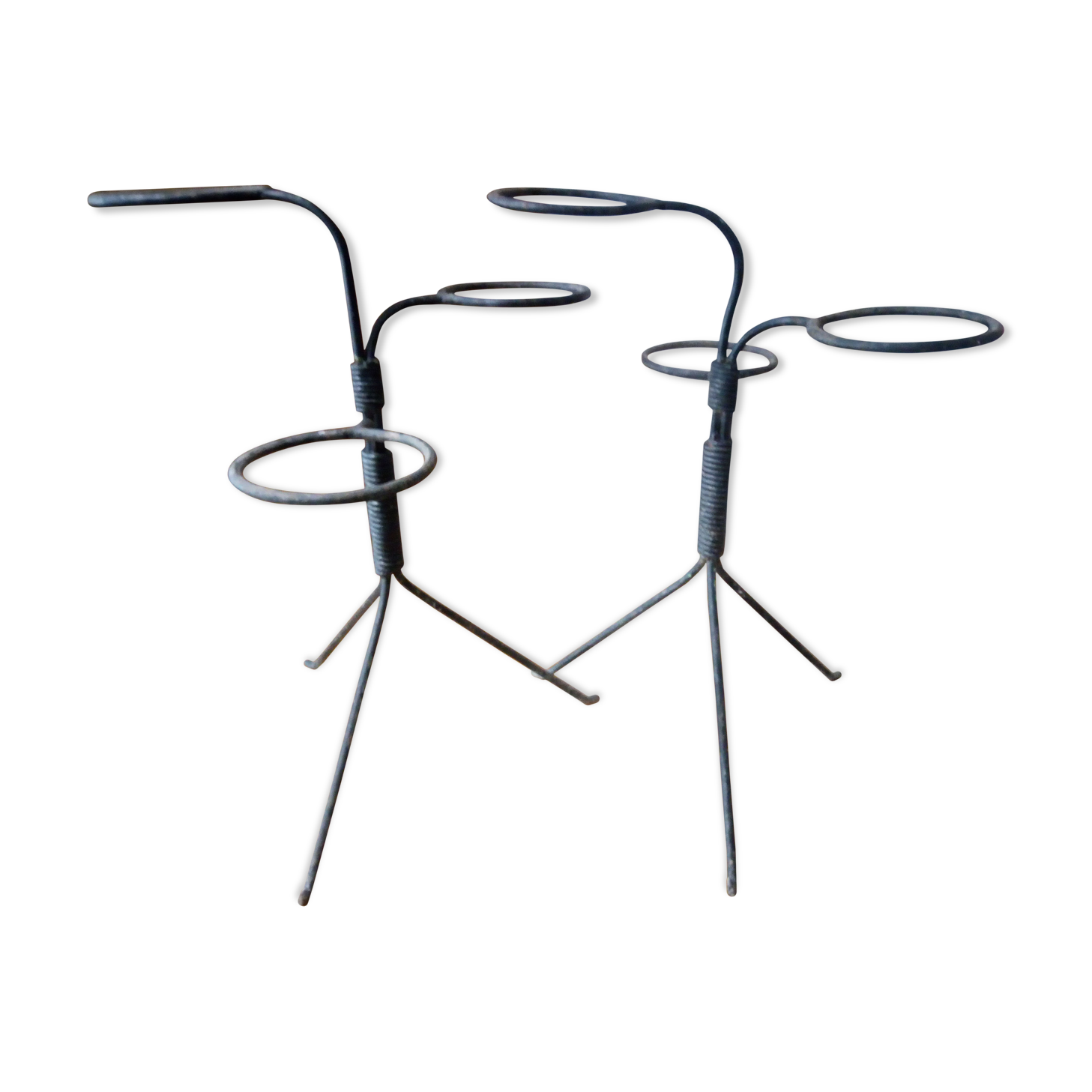 A pair of door plants