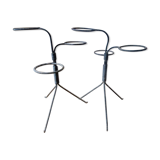 A pair of door plants