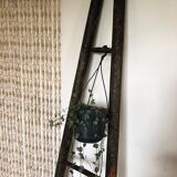 Wooden ladder