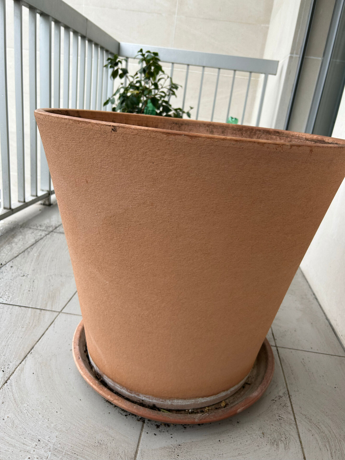 Large terracotta pot