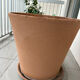 Large terracotta pot