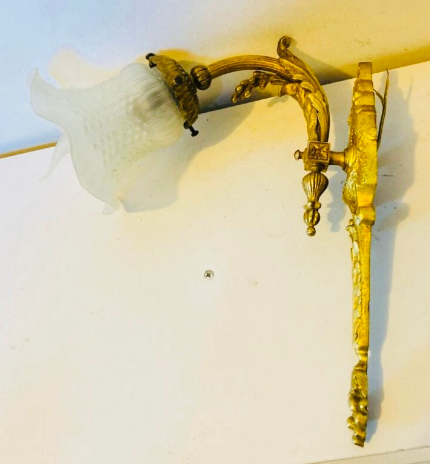 St Louis XVI wall light in solid gilded bronze + fluted glass tulip