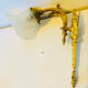 St Louis XVI wall light in solid gilded bronze + fluted glass tulip