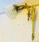 St Louis XVI wall light in solid gilded bronze + fluted glass tulip