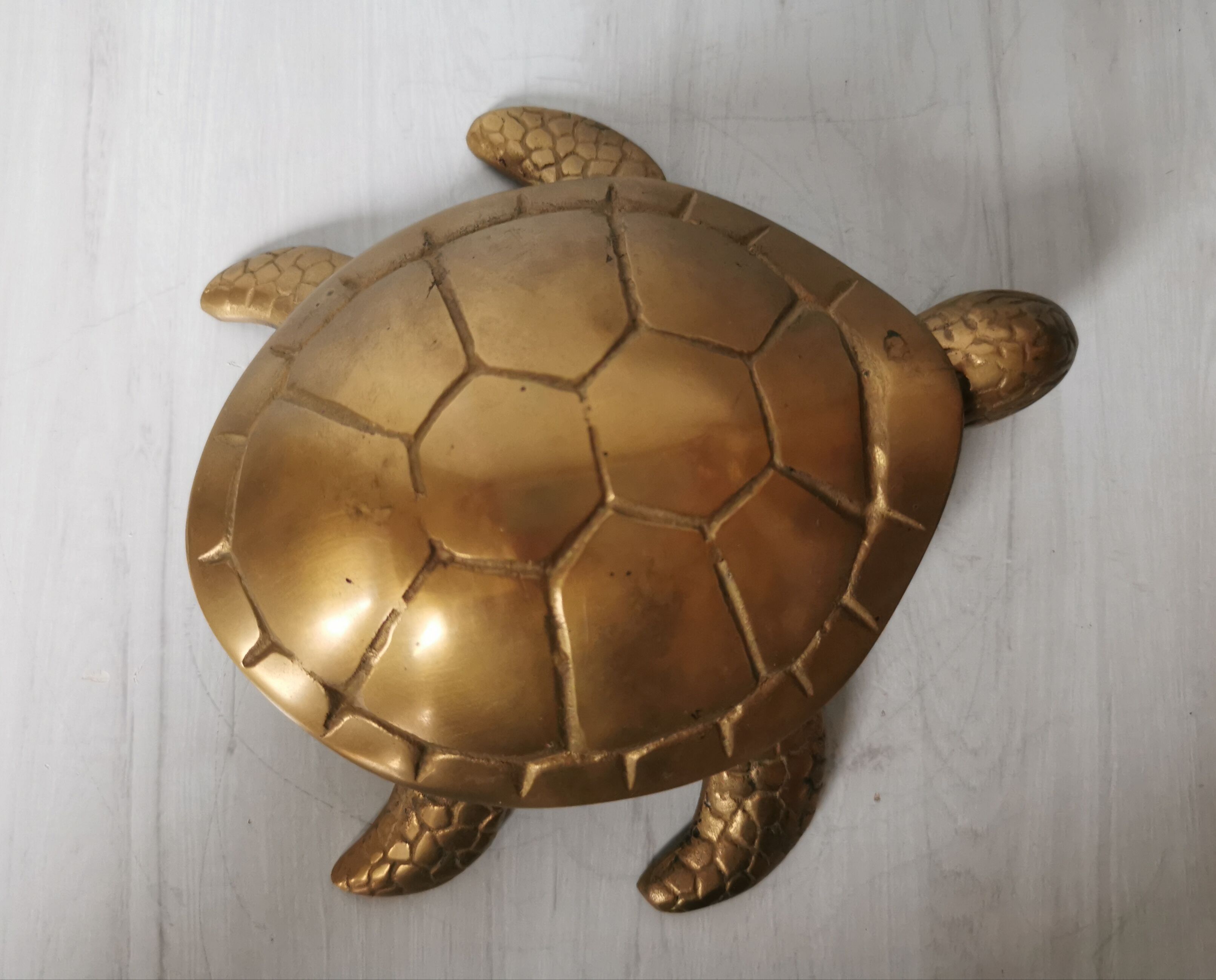 Brass turtle jewelry box